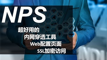 nps内网穿透 web配置界面 无需公网ip https安全访问 SSL证书申请