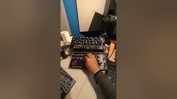 #dawless #dawlesstechno #dawlessproduction #techno #moogmother32 #moogdfam #octatrack #elektron