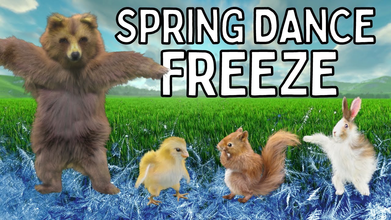 SPRING FREEZE DANCE, Brain Break, Movement Activity with Video