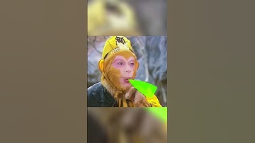 Cá bống tượng nuôi vỗ béo, cung cấp cá bống tượng giống 2k nuôi 6tháng bán được 300k.