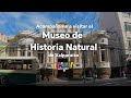 Holi soy el Javi - Conoce el Museo de Historia Natural de Valparaíso.