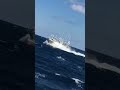 海よ海よ