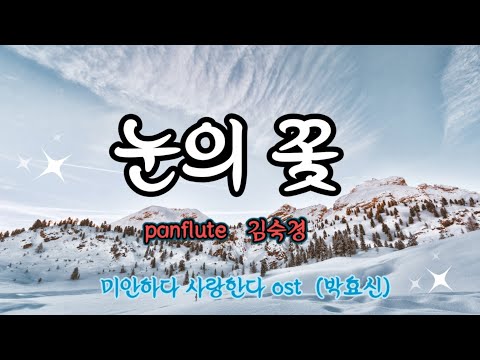 [팬플룻panflute] [미안하다 사랑한다 ost] 눈의 꽃(박효신) - 소울의 오카랑 팬이랑(김숙경)