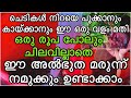 എല്ലാത്തരം ചെടികളും തഴച്ചു വളരാൻ ഈ അത്ഭുത വളം Kitchen Waste കൊണ്ട് | Home Made Fertilizer for plants