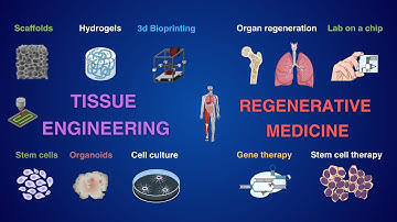 Tissue Engineering and Regenerative Medicine