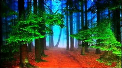 سورة العلق للشيخ عبدالرحمن السديس