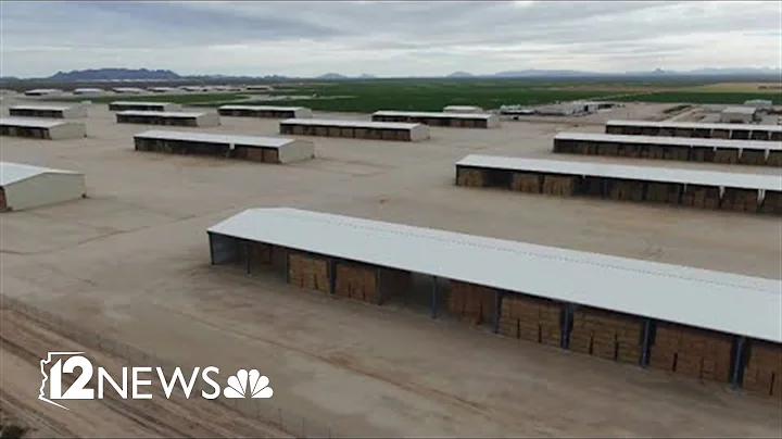 Arizona to end deal allowing Saudi farms to suck Arizona's groundwater dry