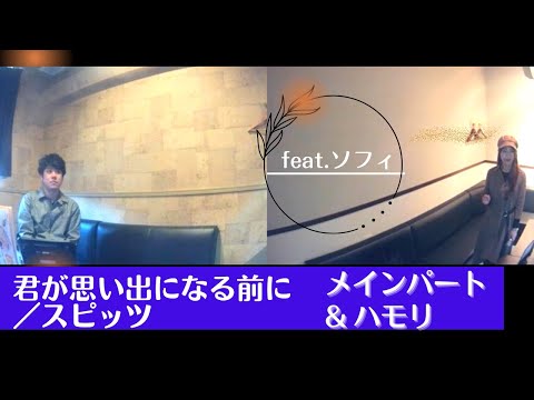 スピッツ／君が思い出になる前に【うたスキ動画】ハモリパート＆ハモリ