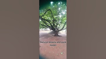 Thumbnail of #song and natural beauty
