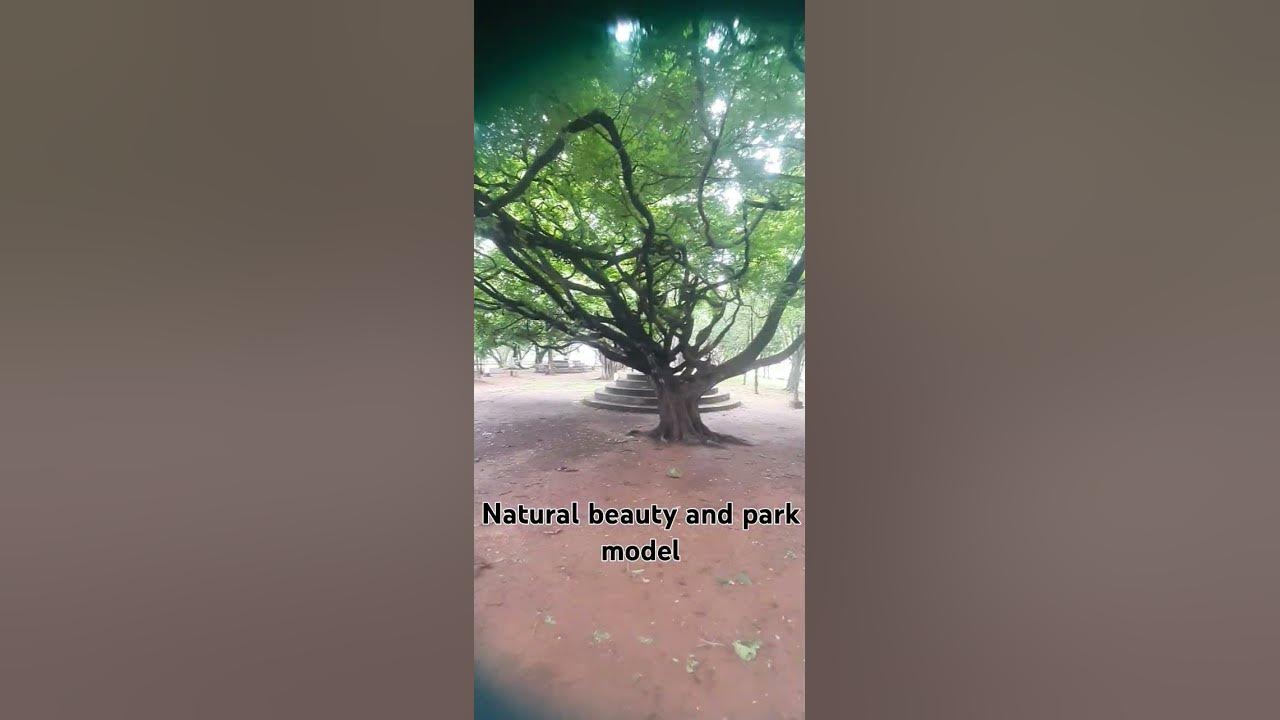 #song and natural beauty