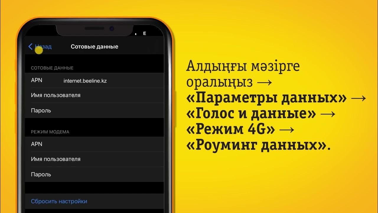 Не ловит билайн. Apn Билайн. Apn Beeline режим модема. АПН Билайн. Билайн режим модема айфон.