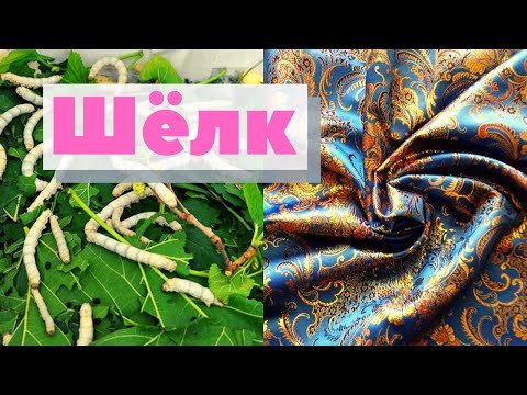 Видео: Шелковые черви производят шелк?