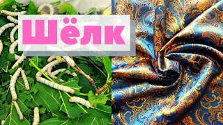 Silk. How it is produced