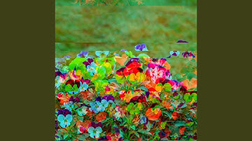 Elegant Backdrops for llustrious Shapes