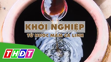 Khởi nghiệp từ nước mắm cá linh | THDT