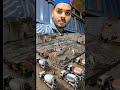 islamic channel short video #trending #youtubeshorts #tiktok #viralvideos