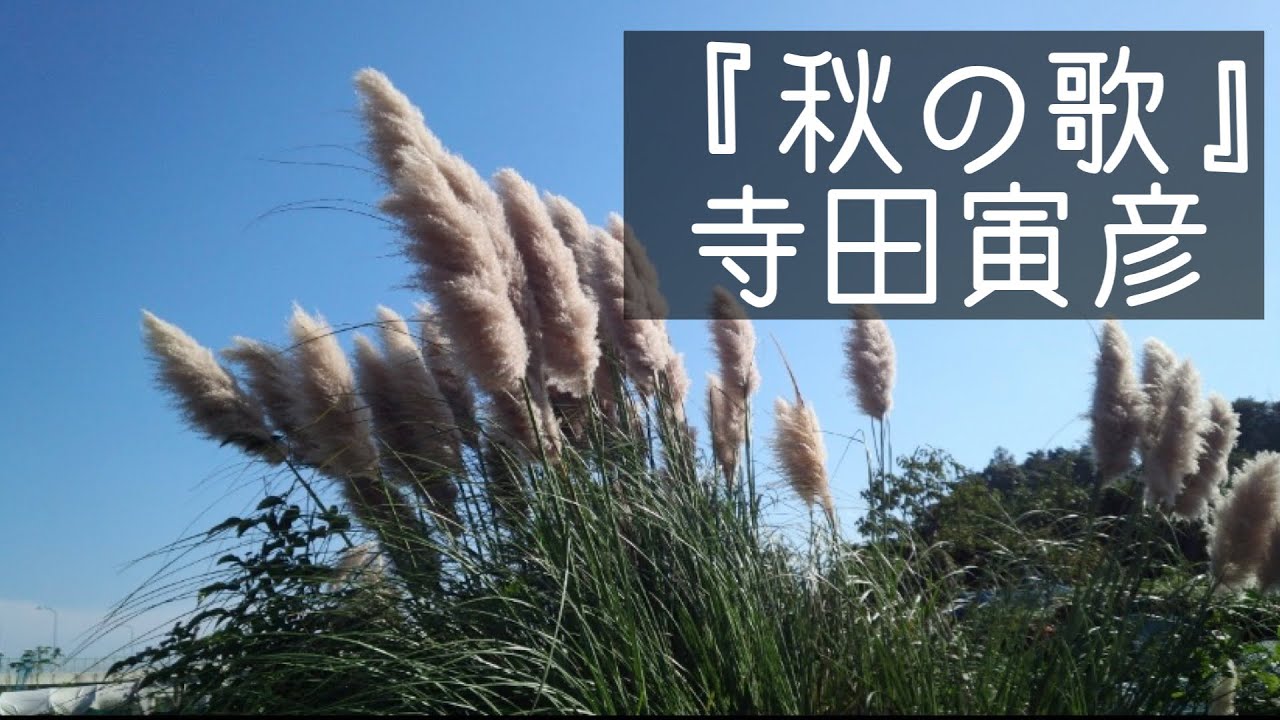 Sleduj 【眠れる朗読】『秋の歌』寺田寅彦 na YouTube