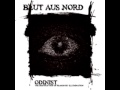 Blut Aus Nord - Odinist [Full]