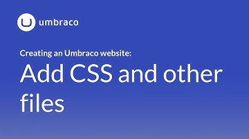 Creating an Umbraco 8 website: Add CSS and other files