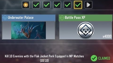 Call Of Duty Mobile Kill 10 Enemies While Equipped with the Survival Training Perk in MP Matches