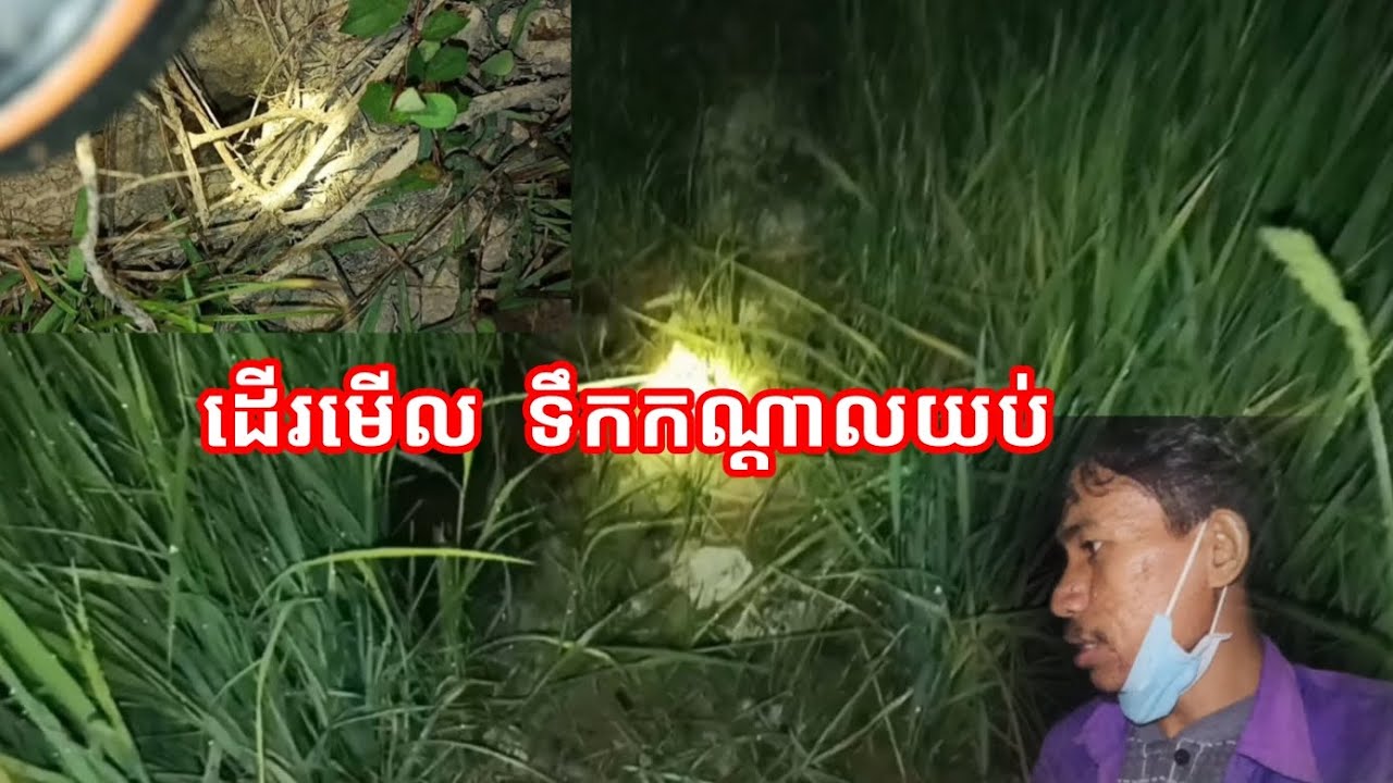 ដើរមើលទឹកស្រែប្រាំង កណ្តាលយប់អាធ្រាត្រ