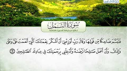 سورة النمل | بصوت القارئ الشيخ محمد عبد الرؤوف السوهاجي