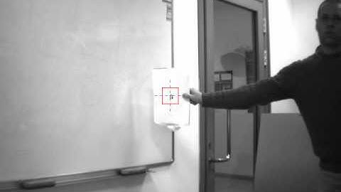 Robotic Chamaleon Under Real Time Predictive Control