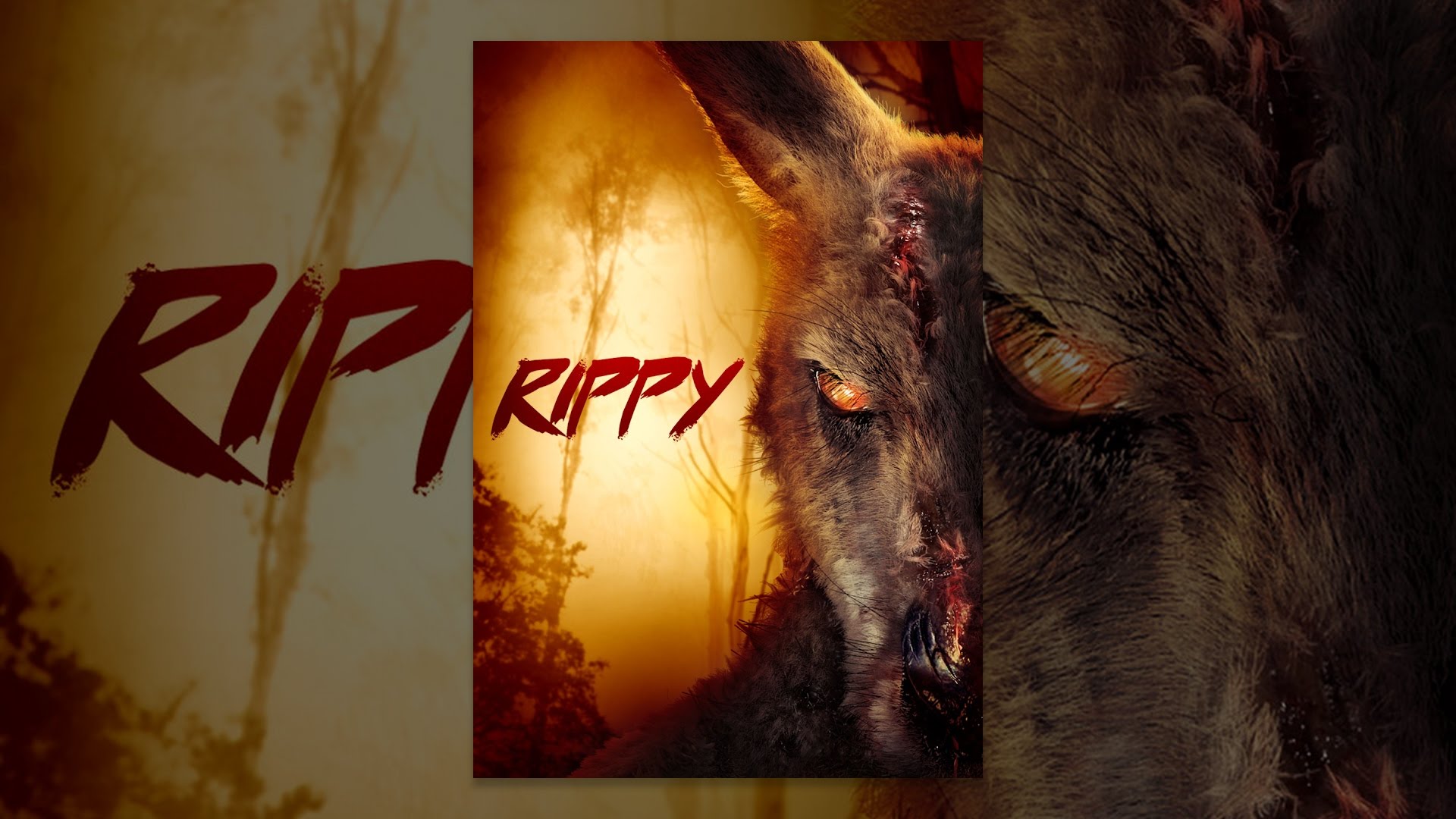rippy☆ Rippy - YouTube
