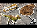 Microceratus: el dinosaurio más ignorado (Animales Prehistóricos)