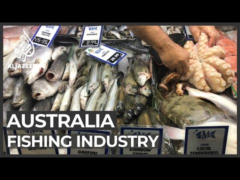 Australia's seafood industry hit by coronavirus curbs