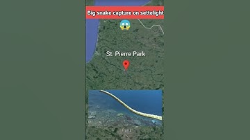 Big snake found on google maps and google earth #shorts #googlemap