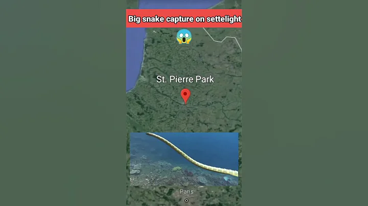 Big snake found on google maps and google earth #shorts #googlemap