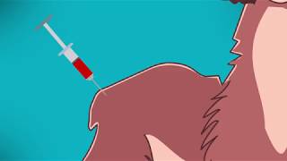 La Serpiente Y La Llama