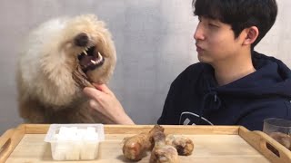 Burping dog’s fried chicken Mukbang(with human)