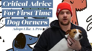 Critical Advice For First Time Dog Owners: Adopt Like A Pro - Top Tips For First Time Dog Owners by Terrier Owner 958 views 1 year ago 8 minutes, 45 seconds