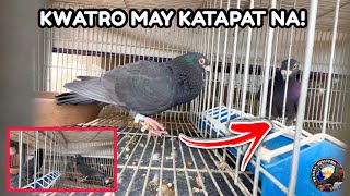 EP1124 KWATRO MAY KATAPAT NA PURE BLACK DIN