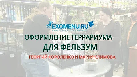 Оформление террариума для фельзум в EXOMENU.