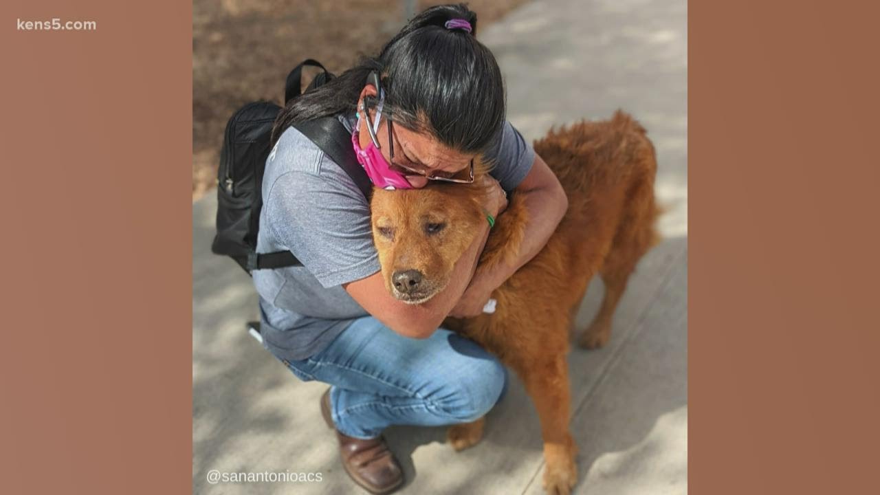 San Antonio woman reunited with her dog almost 7 years later YouTube