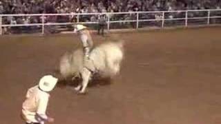 Summit County Fair Rodeo