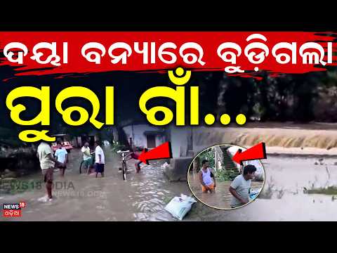 ଦୟା ବନ୍ୟାରେ ବୁଡ଼ିଗଲା ପୁରା ଗାଁ...Puri Flood: Daya River Submerges Dokanda Village | Flood News