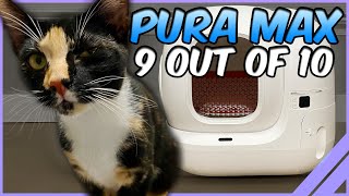 CATS REACT to PURA MAX Automatic Litterbox