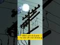Why Birds Don’t Get Shock on High Voltage Wires? ⚡🐦 #viral #current #electrician #learnengineering