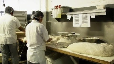 Scientists Build DNA From Scratch Using Yeast