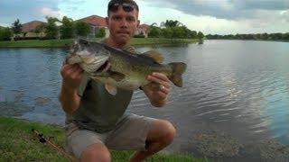 Norman DD22 Crankbait (Hat Cam Bass)
