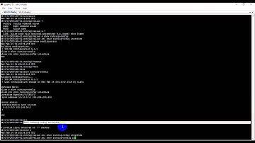 Cisco Create and Removed Alias