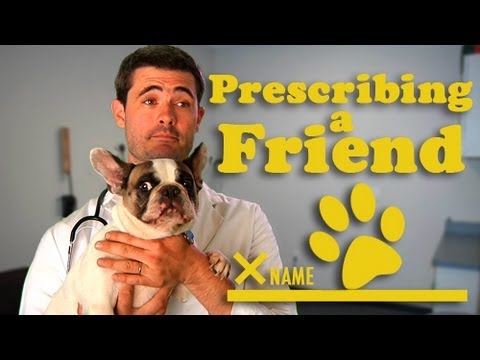 Prescribing a Friend