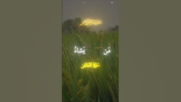 إنك لا تهدي من أحببت 💌 | #قرآن قرآن كريم  | ياسر الدوسري