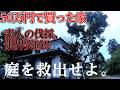 58話　放置しすぎた庭を素人が大掃除したら地獄だった【50万円で買った家】【猫屋敷】