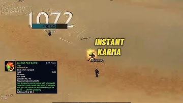 WoW Classic: INSTA KARMA MULTIBOXER
