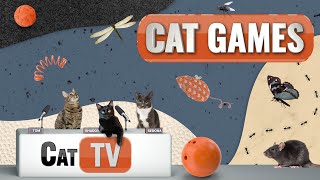 Кошачьи игры | Лучшая подборка Cat TV, том 13 | 2 ЧАСА 🐱📺🎈🦜🐜🐭🧵🐝🐞🦋🦎